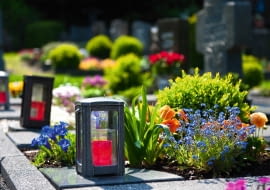 Na tym grobie stale rosną strzyżony bukszpan, irysy kłączowe i goryczki. Wiosną posadzono tu niezapominajki i bratki.