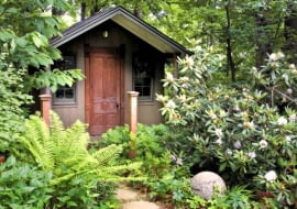 Woodland garden with custom built garden shed.