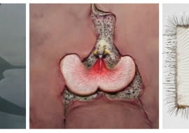 Paweł Matyszewski, obrazy