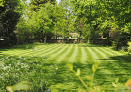 Robot koszący czy kosiarka na akumulator