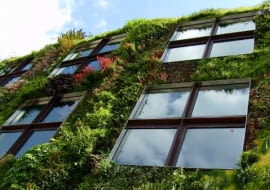 paryż, branly, patrick blank