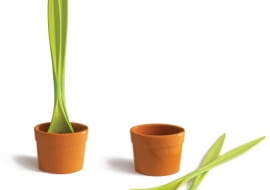 Angielska zabawa designem