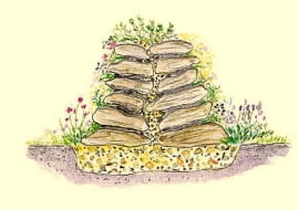 SKALNIAK, ogródek skalny, PROJEKT SUCHEGO MURKU