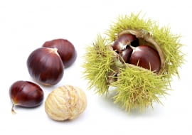 ORZECHY KASZTANA mają brązową łupinę i kolczastą okrywę.