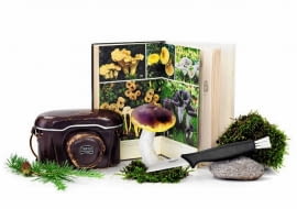 Pogodne jesienne dni to świetna okazja do tego, aby udać się do lasu na grzybobranie. Przed wyprawą warto zaopatrzyć się w odpowiedni ekwipunek - wygodne obuwie, nożyk, koszyk. W domu zaś przygotujmy wszystko co potrzeba, aby grzyby wysuszyć i przechować. <BR /> Akcesoria. Nóż ze szczoteczką, ok. 20 zł, Fiskars