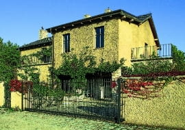 Pnącza samoczepne polecane są do ścian z cegły lub kamienia