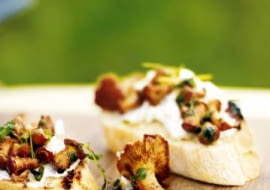 07.07.2009 KUCHNIA GRZYBY BRUSCHETTA Z GRZYBAMI I SEREM RICOTTA STYLIACJA TOMASZ WOZNIAK FOT. MARCIN KLABAN / AGENCJA GAZETA PUBLIKACJA KUCHNIA NR 9 (175) - 9 2009