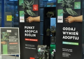 Punkt adopcji roślin
