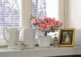 AZALIA AZALEA PORCELANA ARANZACJA FOT. PAWEL SLOMCZYNSKI / AGENCJA GAZETA PUBLIKACJA KWIETNIK NR 10 (130) - 10.2005 SLOWA KLUCZOWE: ROSLINY NACZYNIA WNETRZA KWIATY ZDJĘCIE DO WKŁADKI: PUBLIKACJA KWIETNIK NR 10 (130) - CZASOPISMA