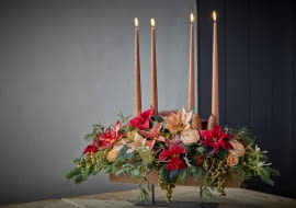 Magia adwentu z poinsecją