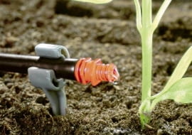 ONE TIME USE ONLY DO JEDNOKROTNEJ PUBLIKACJI OGROD PODLEWANIE SYSTEM NAWADNIAJACY KROPLOWNIK FOT. GARDENA PUBLIKACJA KWIETNIK NR 7 (163) - 7 2008 SLOWA KLUCZOWE: OGRODY WODA OGRODNICTWO ZDJĘCIE DO WKŁADKI: PUBLIKACJA KWIETNIK NR 7 (163) - CZASOPISMA