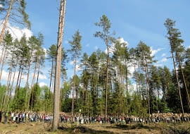 26.05.17 Bialowieza . Akcja ekologow i przeciwnikow wycinki w Puszczy Bialowieskiej , spacer po Puszczy Bialowieskiej , do wyrebu w okolicy Czerlonki . Fot. Agnieszka Sadowska/ Agencja Gazeta SLOWA KLUCZOWE: obrona Puszczy Bialowieskiej przeciwnik wycinki wycinka w Puszczy /FR/ Agx ZDJĘCIE DO WKŁADKI: A