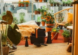 Nowa linia produktów do pielęgnacji roślin doniczkowych Urban Plant Care