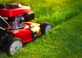 Jak pielęgnować trawnik latem?