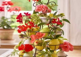 Kolorowa, pełna życia i w oczekiwaniu na lato – taka jest Wielkanoc z pelargoniami!