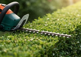 Jak przygotować ogród na wiosnę? Praktyczny poradnik prac w ogrodzie po zimie