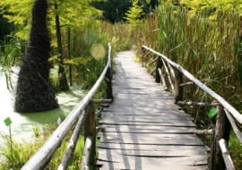 Bolestraszyce k. Przemyśla