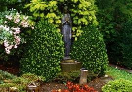 U podnóża altanki z cisu i bukszpanu posadzono azalię japońską, miniaturowy świerk i begonię.