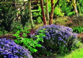 dodatki, ogród, akcesoria ogrodowe, donica