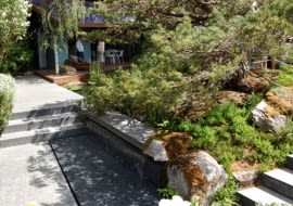 Wystawa Chelsea Flower Show 2010