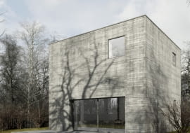 Metamorfoza domu kostki