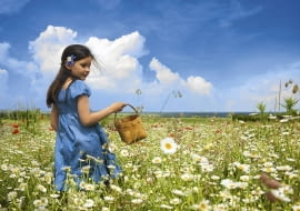 Powiązane w pęczki bukieciki z rumianku, lebiodki i krwawnika powieszono kwiatostanami w dół w suchym pomieszczeniu.