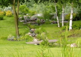 Strumień w górnym biegu - półtora metra powyżej poziomu gruntu na działce. Widoczny fragment betonowego muru to szczyt ściany oporowej wzdłuż sztucznego nasypu, który izoluje posesję od drogi.