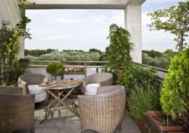 OTOCZONY ZIELENIĄ. Z tujami sąsiadują różanecznik, lawenda, róża pnąca oraz żółto kwitnący srebrzeń (jego dawna nazwa, czyli złocień, bardziej pasowała do odcienia kwiatów).