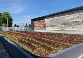 Kwietna mozaika przed dworcem PKP w Oświęcimiu