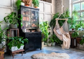 Wnętrza pełne roślin