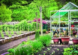 Wiosną i latem zimna szklarnia świetnie nadaje do przygotowywania rozsady warzyw i kwiatów.