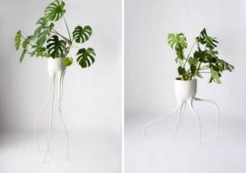 monstera, doniczka, design, projekt, ciekawy projekr