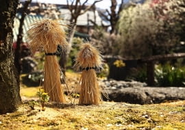 RÓŻE NA PNIU (tzw. sztamowe) tradycyjnie okrywamy chochołami ze słomy.