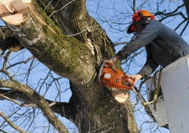 Warto wiedzieć, jakimi cechami wyróżnia się dobra pilarka