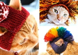 czapki dla kotów, szydełkowe czapki