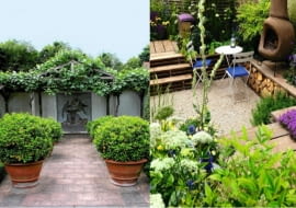 ogrody, balkon, taras, rośliny, nawozy