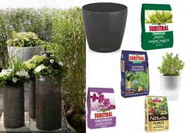 Jakie kwiaty do Twojego ogrodu?