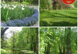 Przewodnik po Łazienkach Królewskich [Ogród Modernistyczny]