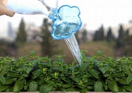 konewka, jak zamienić butelkę w konewkę, zabawny gadżet