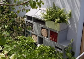 25.05.2011 LONDYN WYSTAWA OGRODOW CHELSEA FLOWER SHOW NA ZDJECIU OGROD UWAGA ZDJECIA MALE DO OGLADANIA I WYBIERANIA DLA CZASOPISMA OGRODY FOT. ARKADIUSZ SCICHOCKI / AGENCJA GAZETA