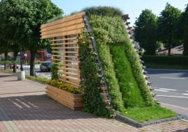 Żyjące przystanki w Siemiatyczach. Zielone przystanki stanęły tu już w 2017 roku.