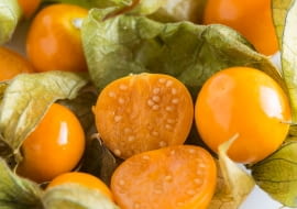 Miechunka peruwiańska