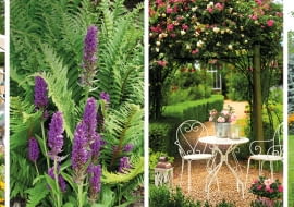 Idealne rośliny do ogrodu
