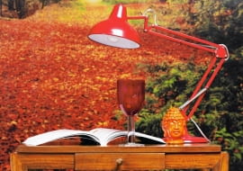 28.07.2011 , WNETRZA , KOLOR I WZOR , TEMAT JESIEN - CZERWIEN , SESJA DLA : CZTERY KATY , STYLIZACJA JOANNA PLACHECKA . FOT. MICHAL MUTOR / AGENCJA GAZETA SLOWA KLUCZOWE: WNETRZA DEKORACJE