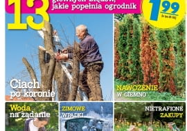 Niezbędnik ogrdonika