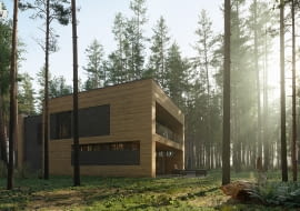 Dom Pień. Proj. 81.waw.pl