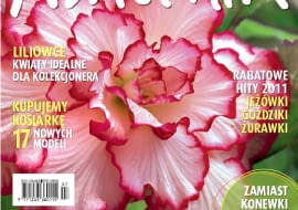 Okładka miesięcznika Kwietnik 07/2011