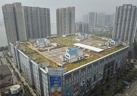 Domy na dachu chińskiego supermarketu