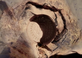 Hotel w Al-Ula w Arabii Saudyjskiej. Proj. Jean Nouvel