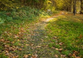 Jesienne porządki w ogrodzie